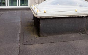 disadvantages of Nately Scures flat roofs