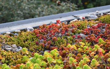 the cost of Nately Scures green roof installation