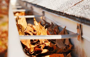 Nately Scures gutter cleaning companies