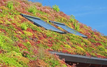 Nately Scures living roof systems