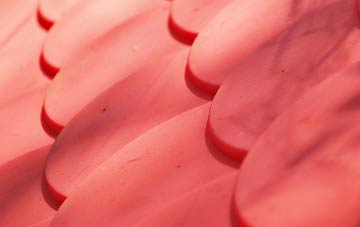 Nately Scures plastic roof costs