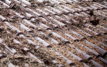 Nately Scures roof cleaning companies