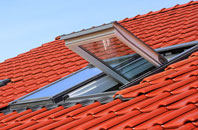 Nately Scures roof window